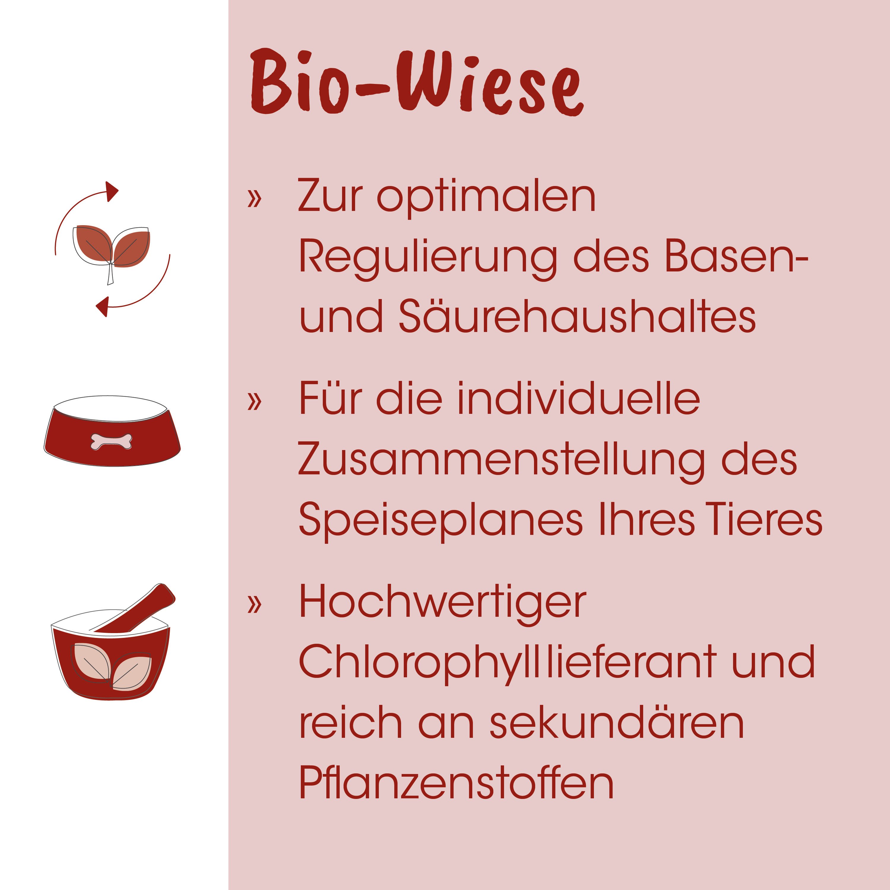 Bio-Wiese, Tierfutter, Schüssel, Mörser, Topf