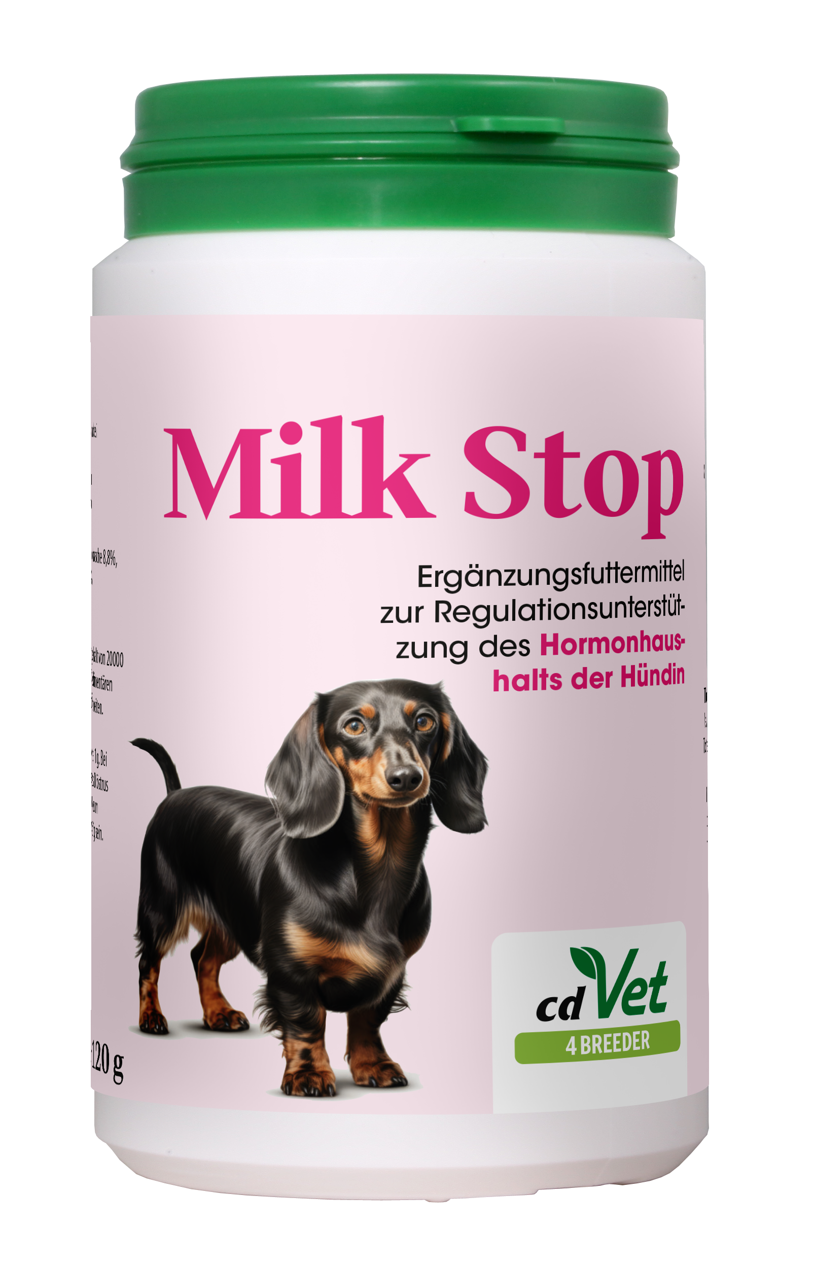 Kräuterig, Kräuter, Pflanze, Hund, Haustier