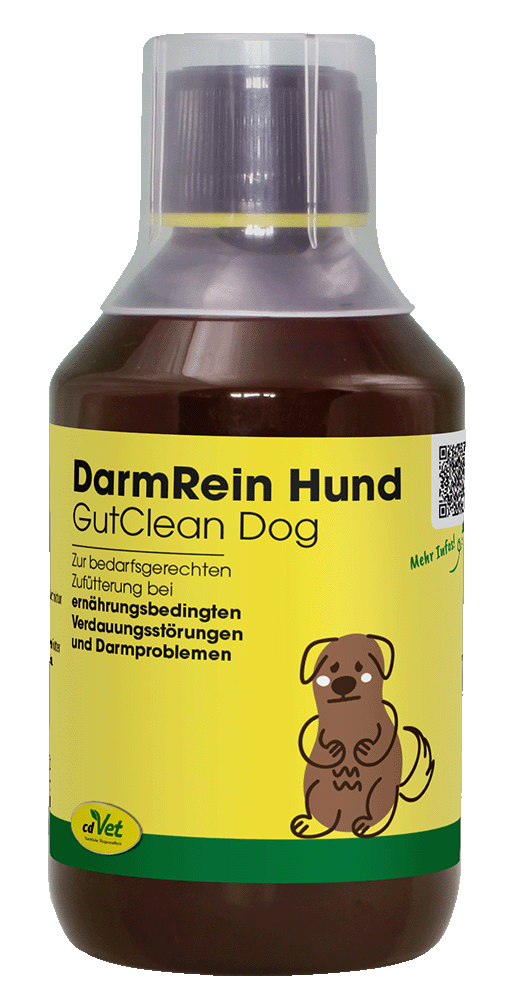 DarmRein Hund 250 ml