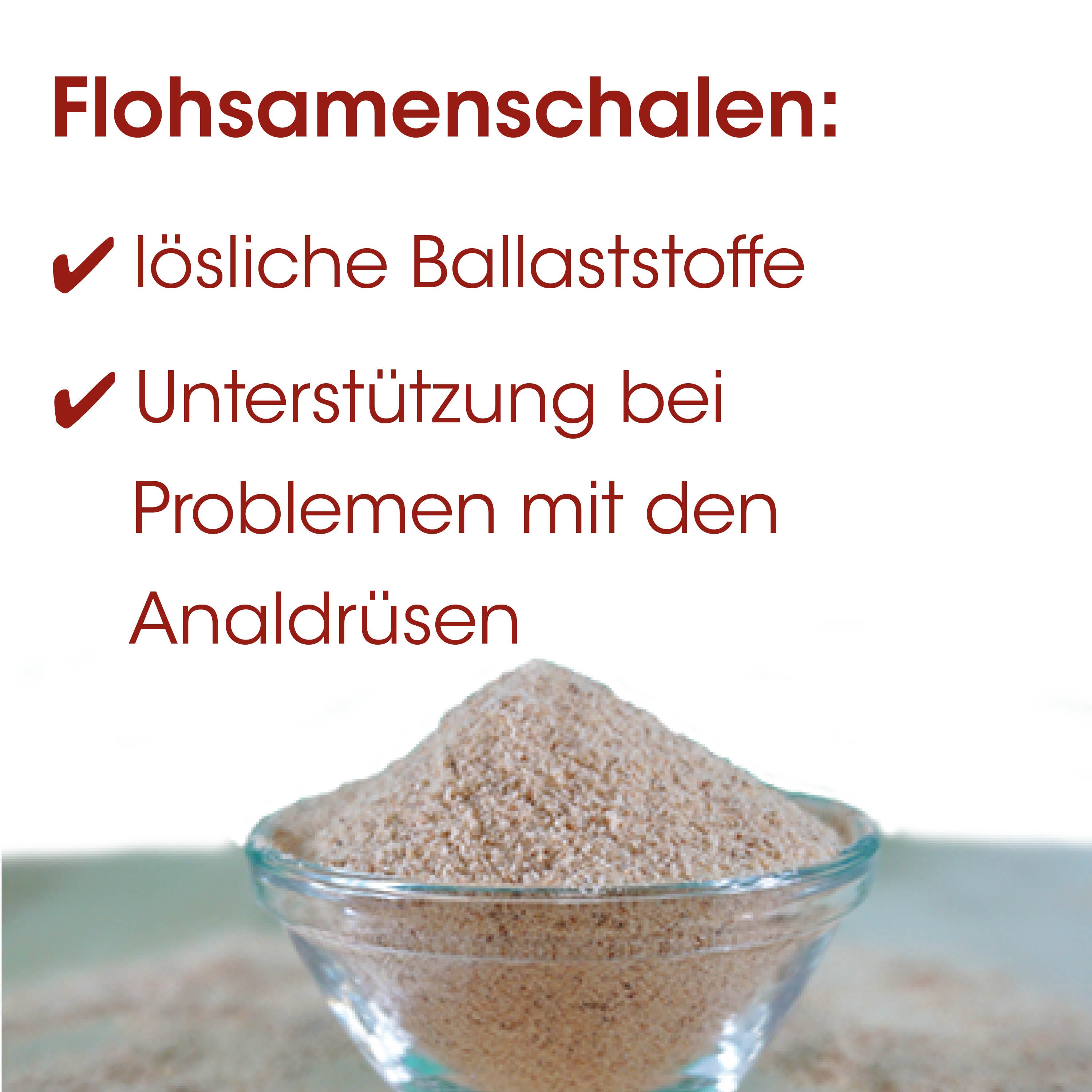 Mehl, Pulver, Weizen,  Körnig,  Feines Pulver