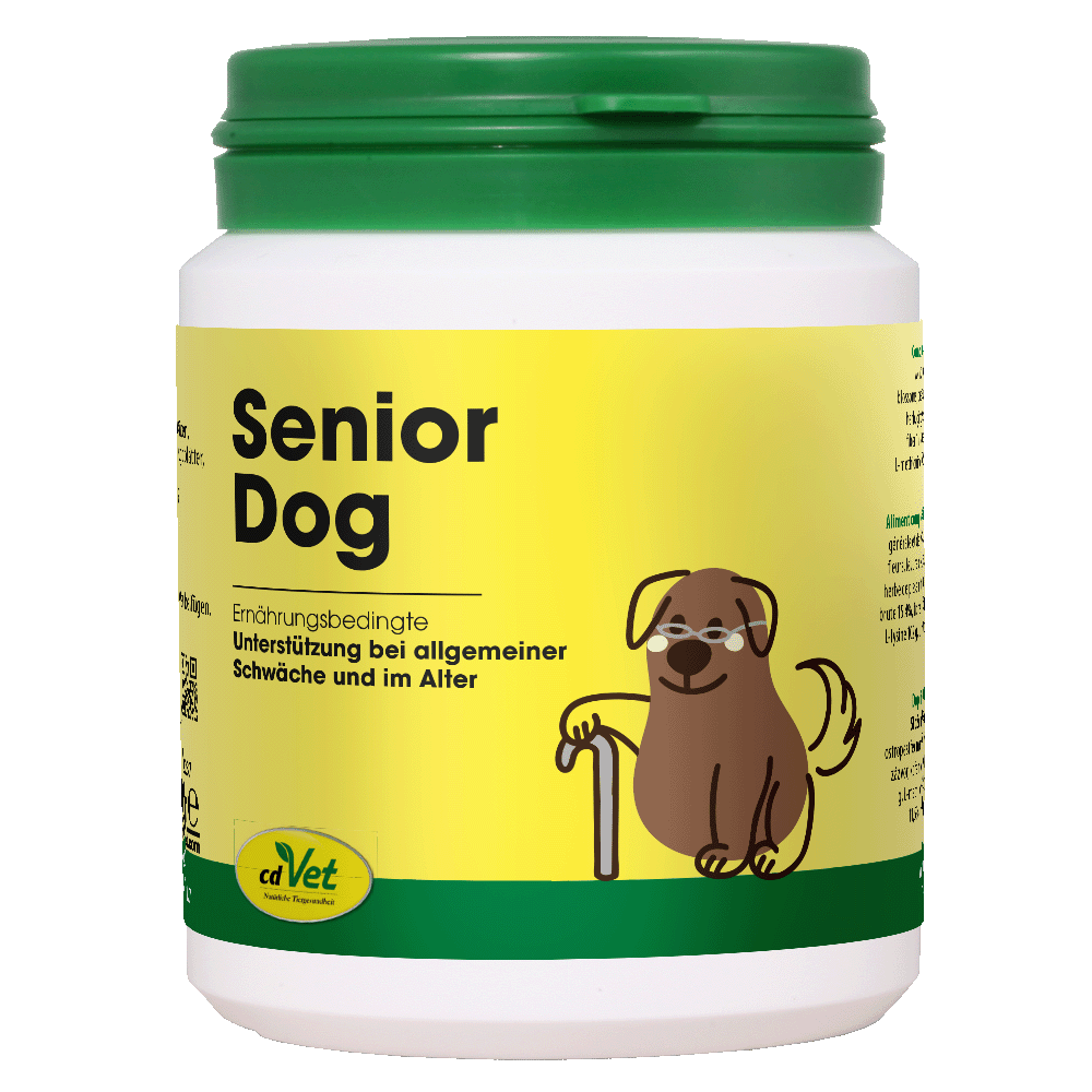 Senior Dog, Hund, Hunde-Nahrungsergänzung, Tiernahrung, Hundegesundheit