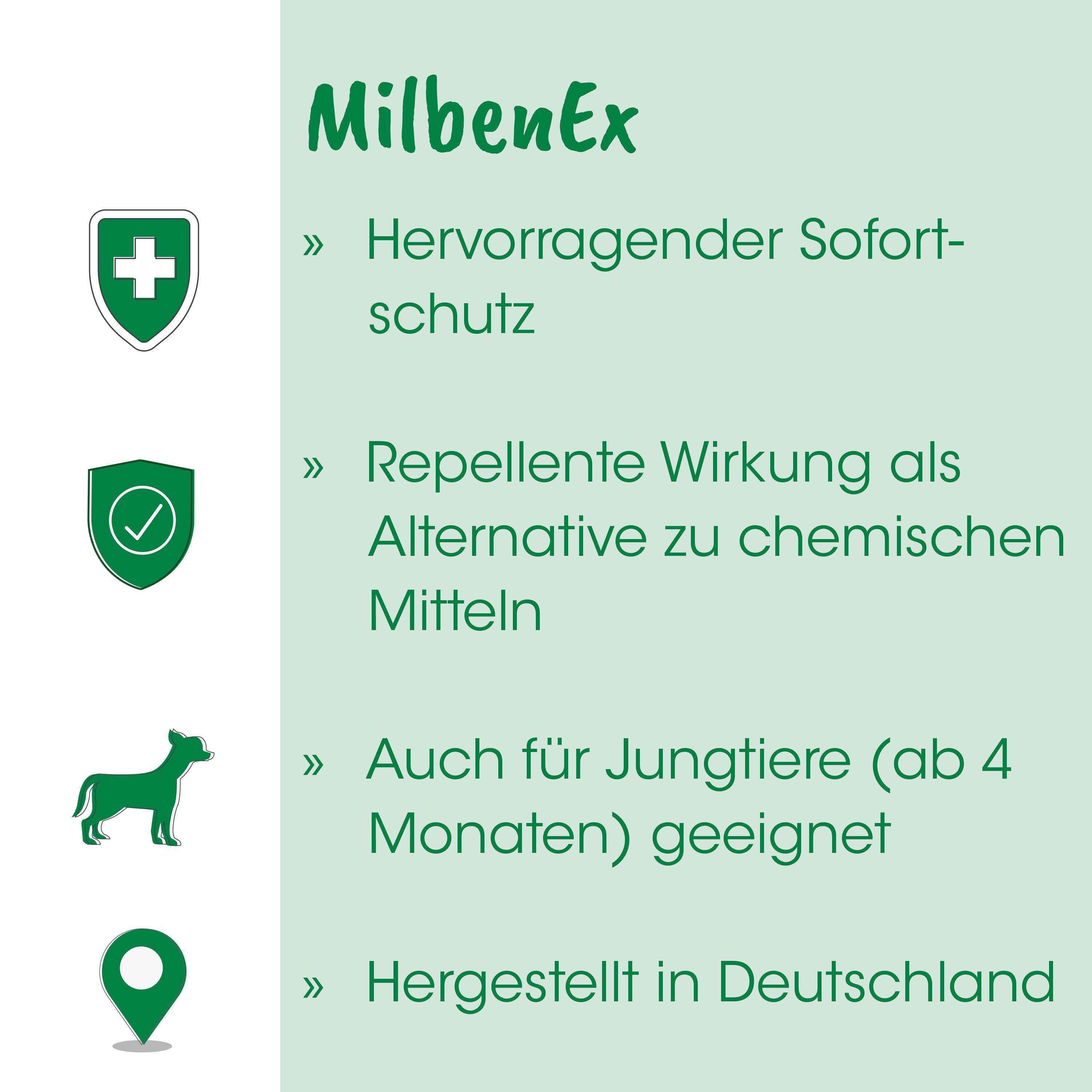 Hund, grün, Hundemarke, abzeichen runde schilde?, checkmark
