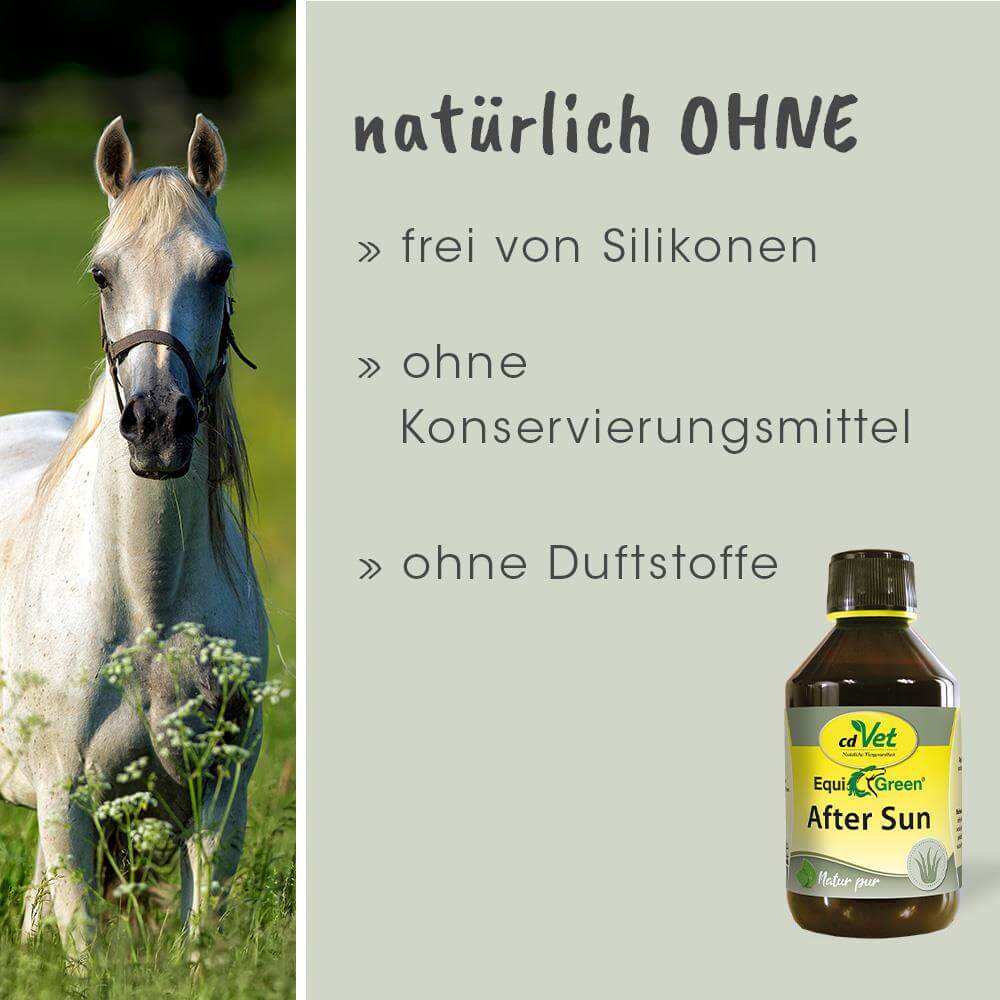 Essen, Würzen, Tier, Pferd, Säugetier