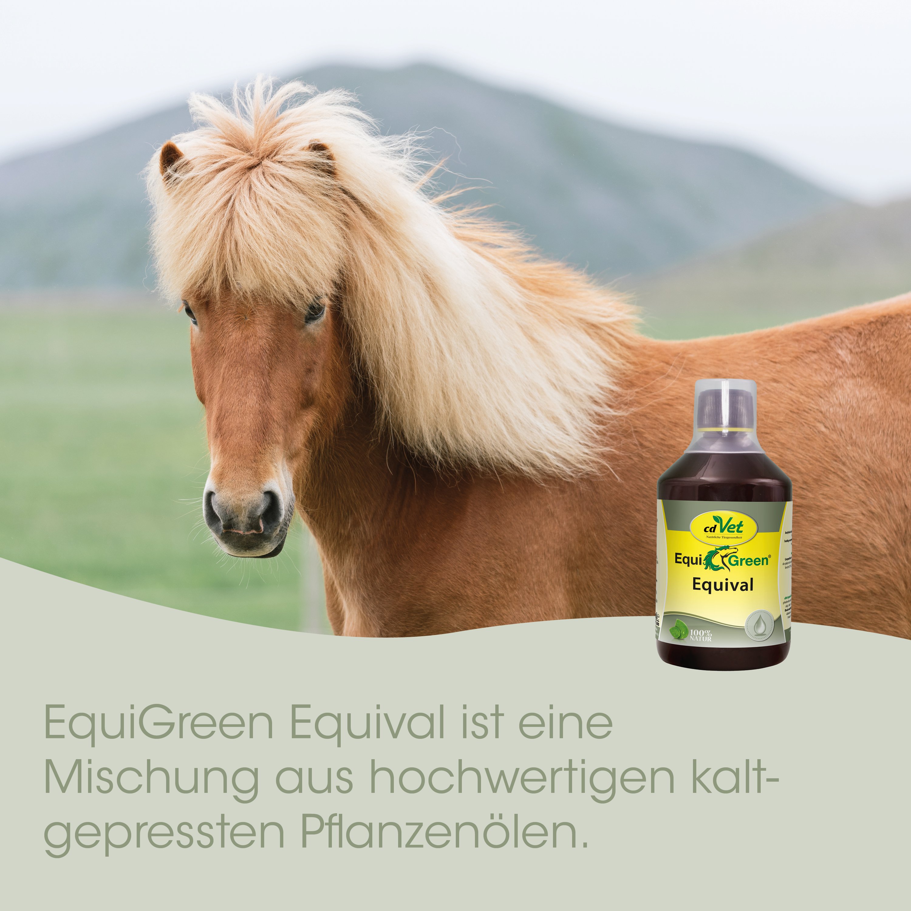 pferd, pony, pelz, braun, flasche