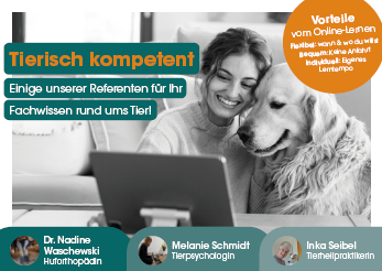 Postkarte vet4academy Werbung, Plakat, Person, Laptop, Hund