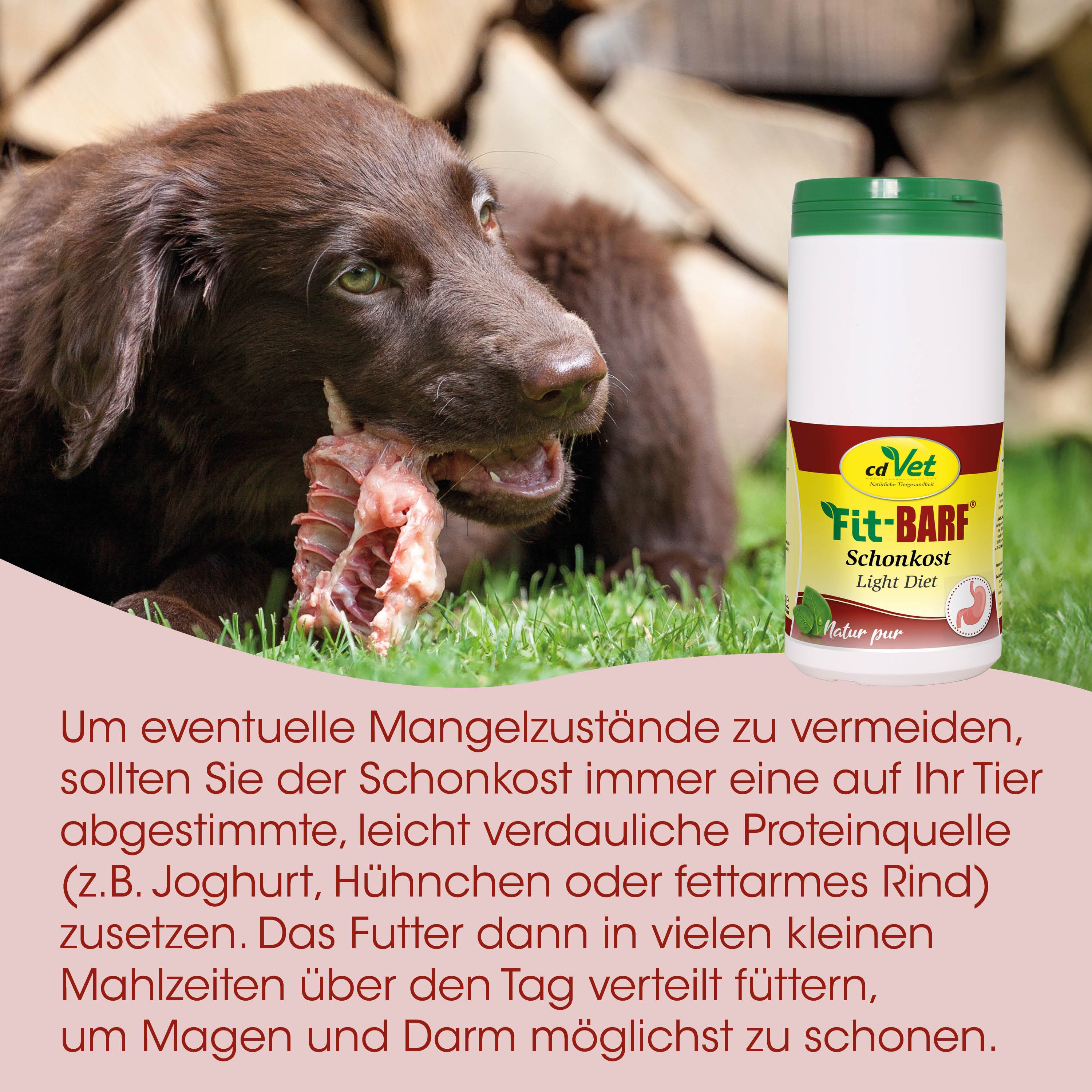 Hund, Schonkost, Proteinquelle, Futtertipps, Tiernahrung