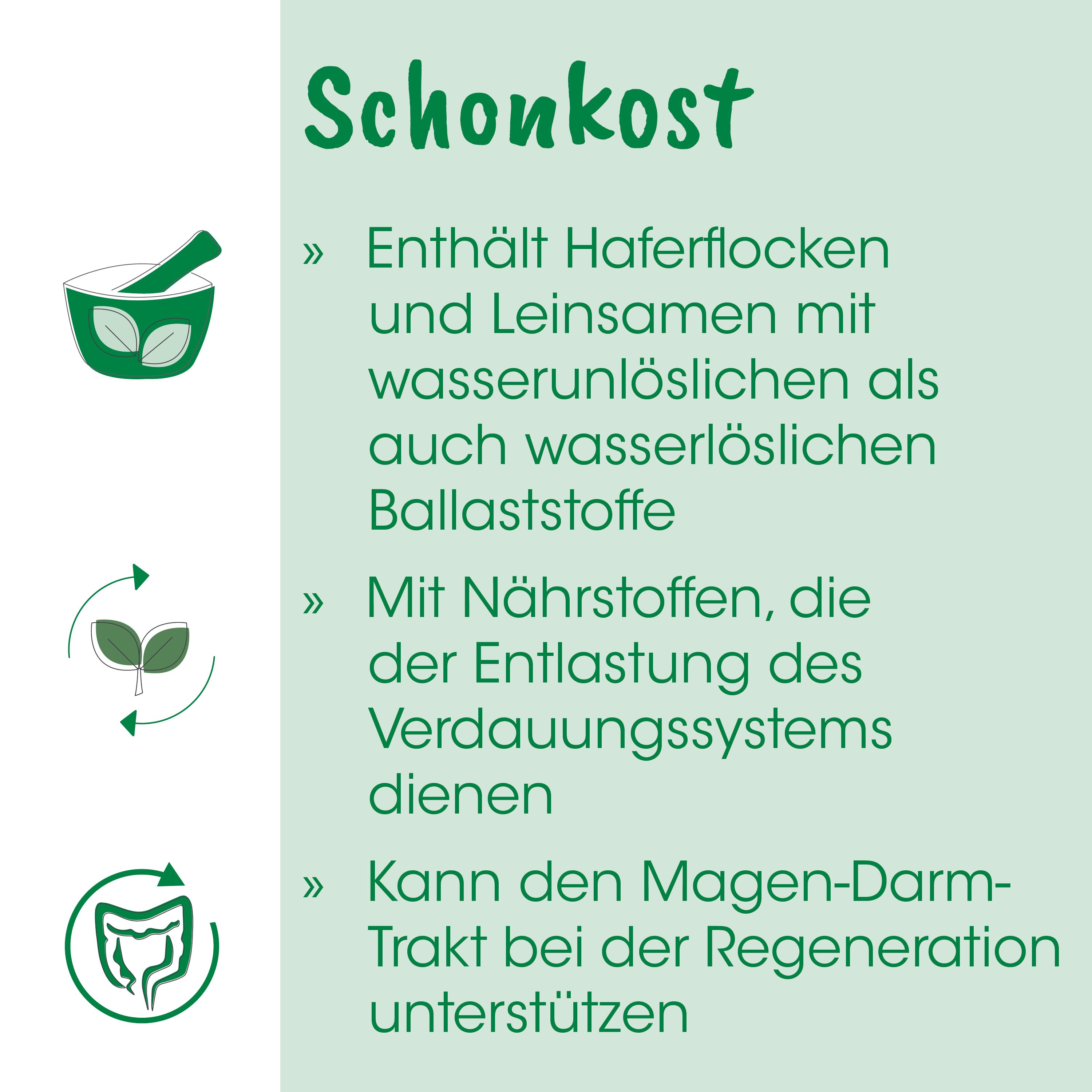 Schokost, Haferflocken, Leinsamen, Verdauungssystem, Ballaststoffe