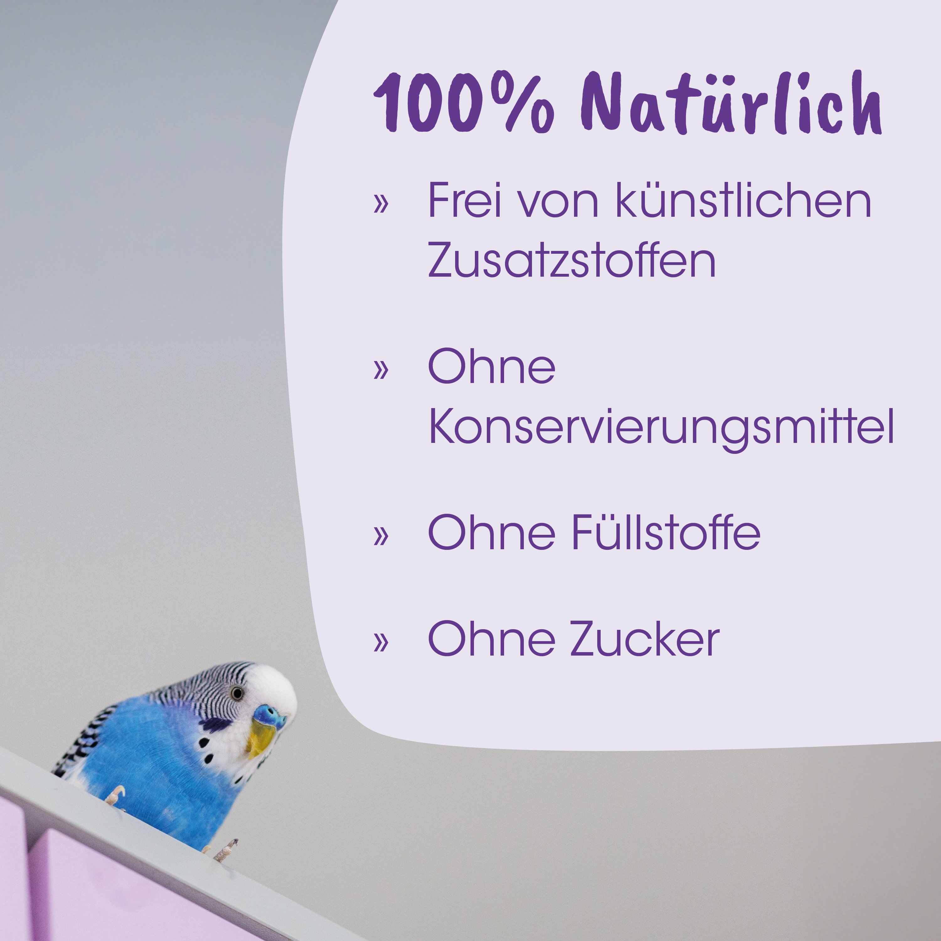 Parrot, Blue parakeet, Vogel, Haustier-Zubehör, Bunte Vogelart