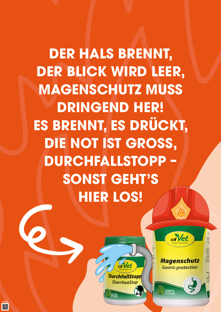 Werbung, Plakat