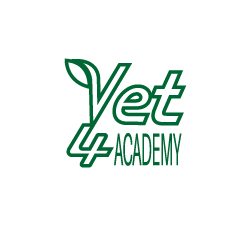 logo, vet4academy, grün, blatt, text