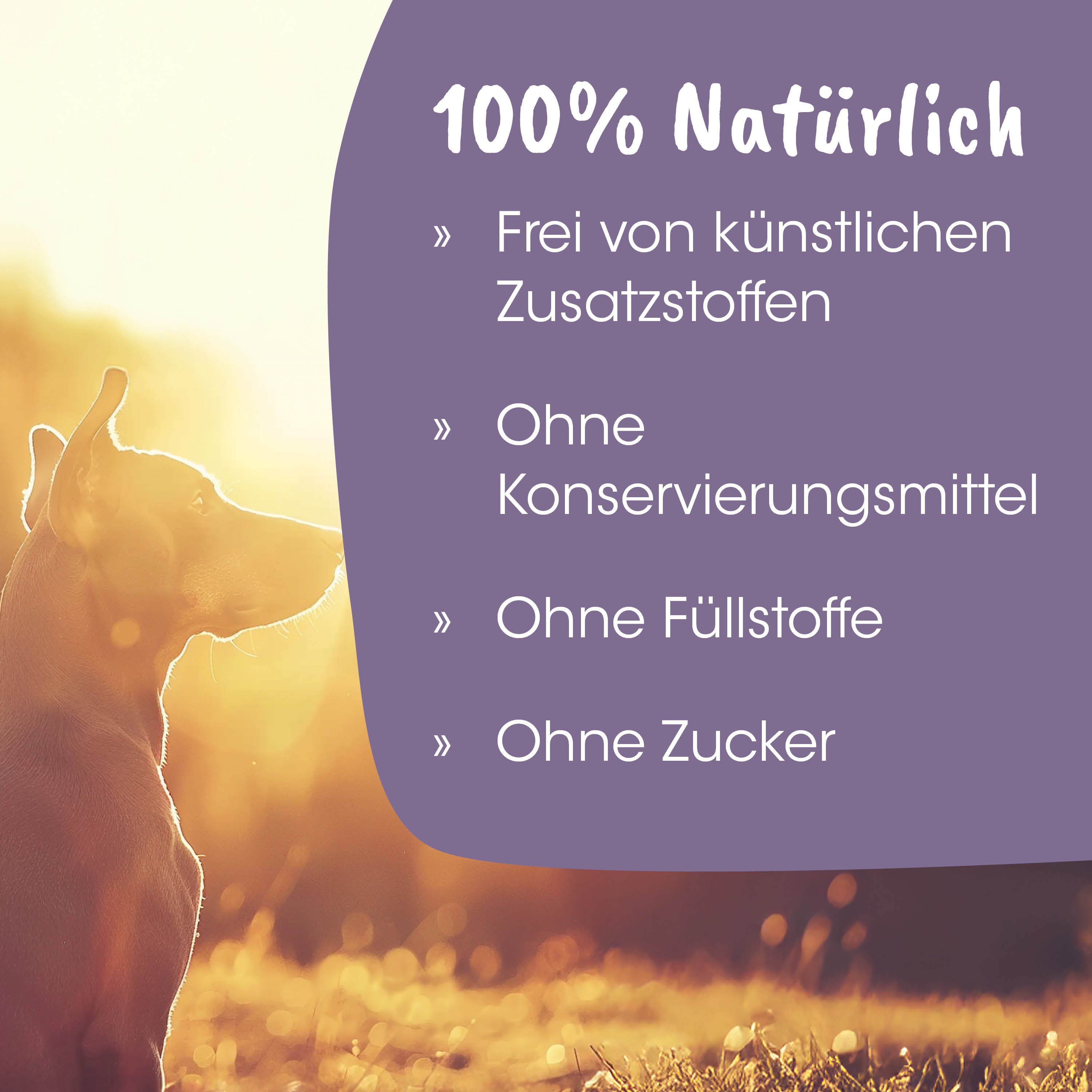 Hund, Hundensilhouette, Sonnenuntergang, Draußen, Feld