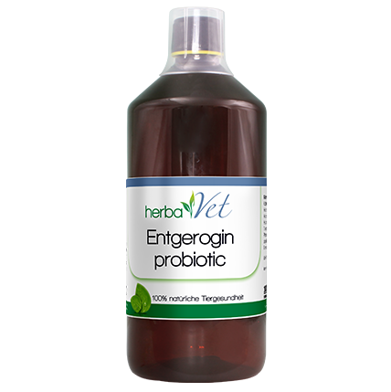herbaVet Enterogin probiotic 1 L