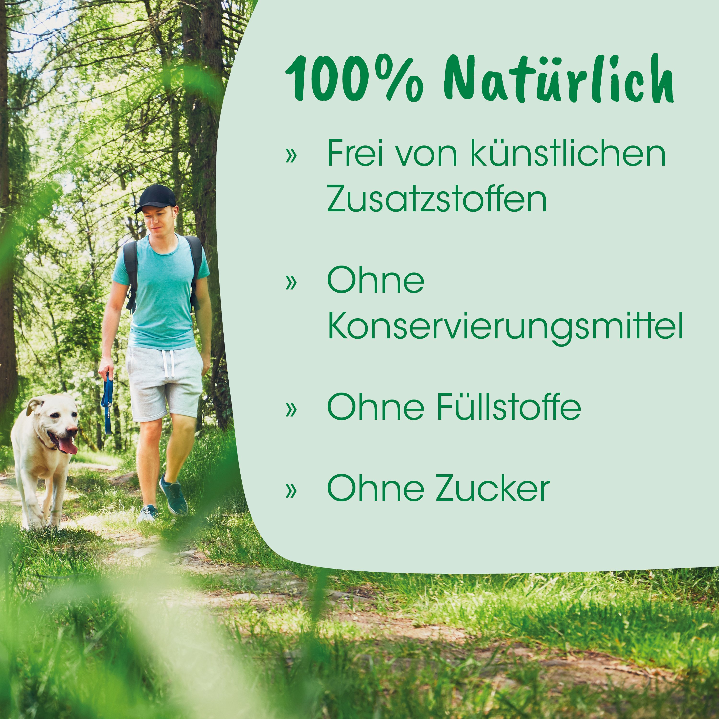outdoor, Wandern, Hund, Mann, Rucksack