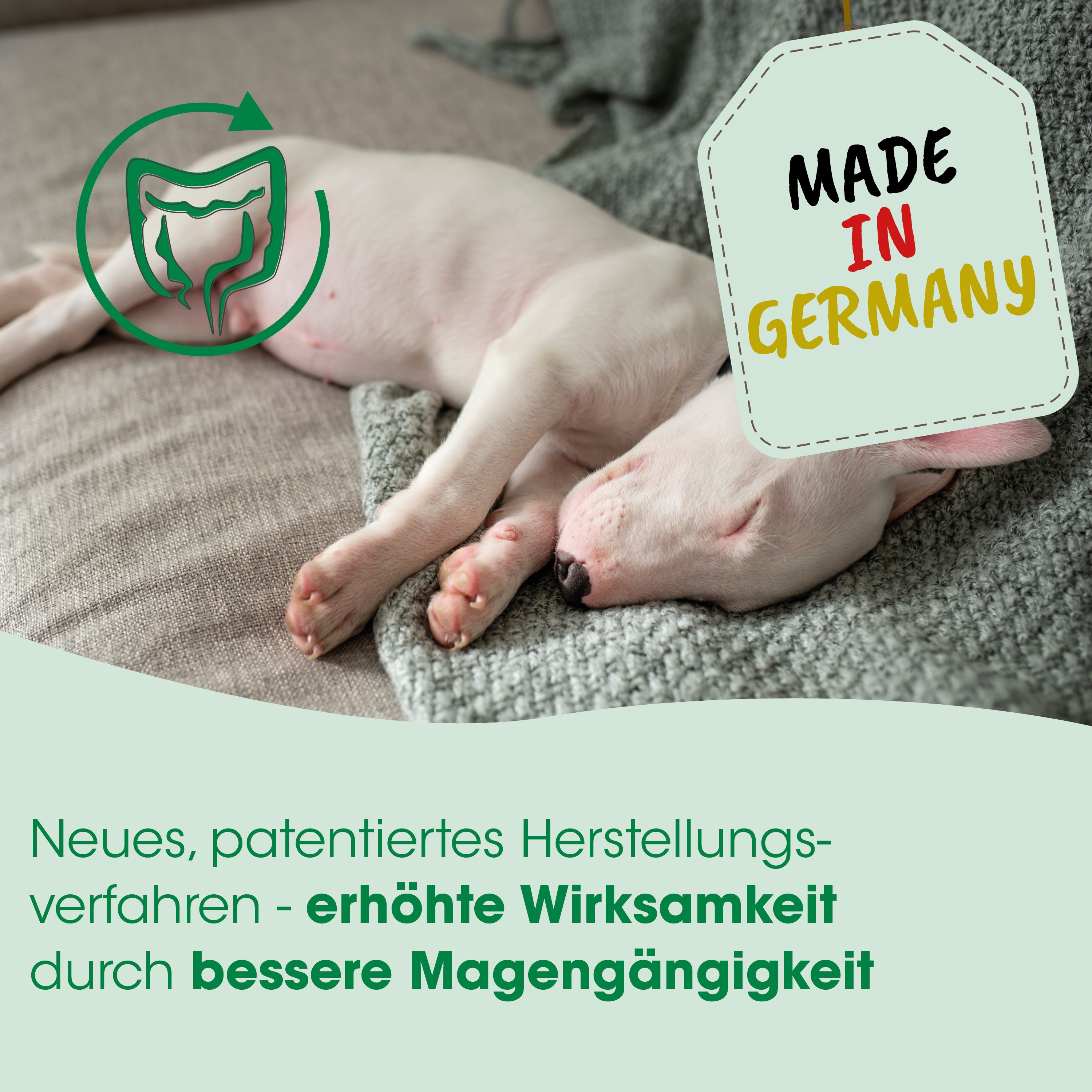 Hundeaufkleber, Made in Germany, Pflegehinweis, Haushund, Schutztextile
