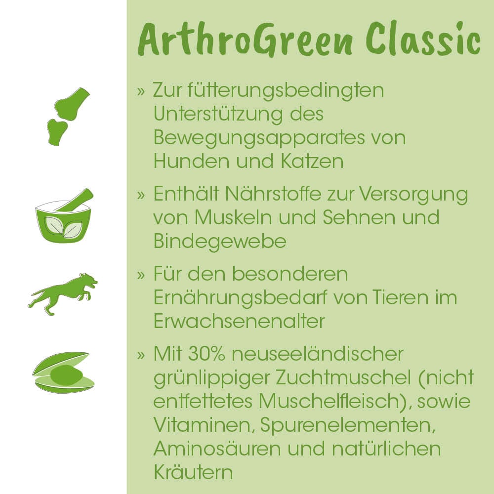 grün, Kraut-/Kräuterprodukt, Hundemittel, Tablette, Schüssel