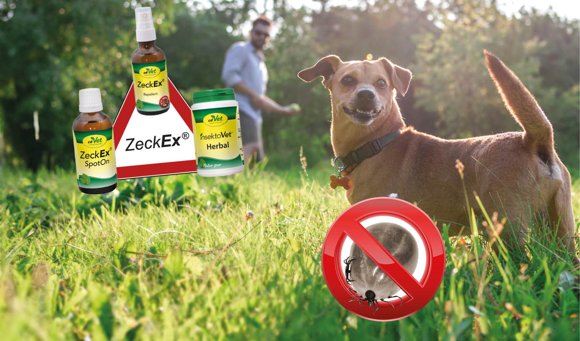 ZeckEx, Repellent, SpotOn, Herbal, InsektoVet