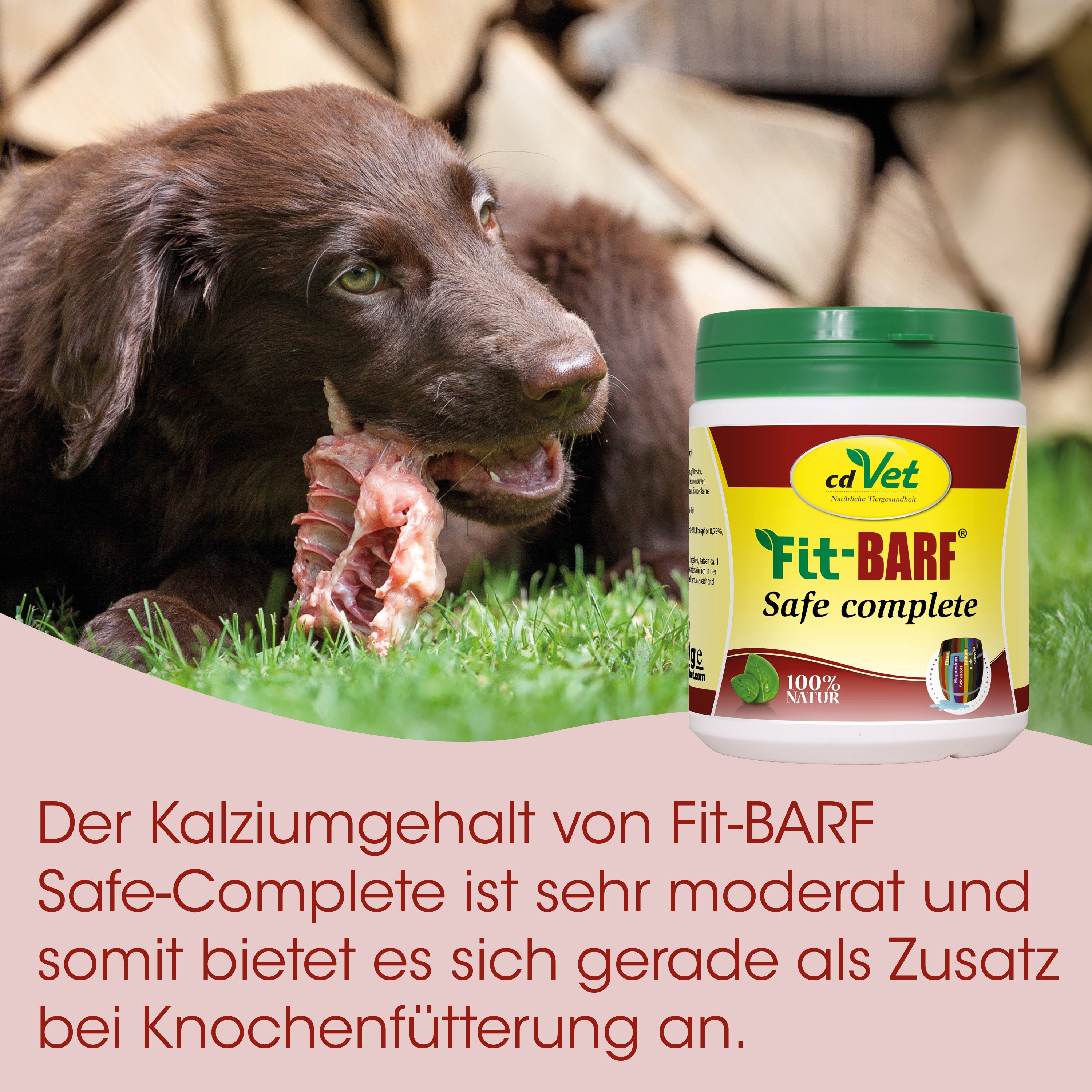 Hunde-Leckerli, Hundesnack, Knochenfleisch, Kalziumergänzung, Hundefutter-Container