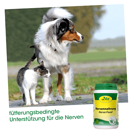 Nervennahrung 180 g