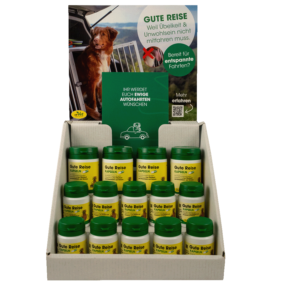 Kräuterig, Kräuter, Pflanze, Hund, Haustier