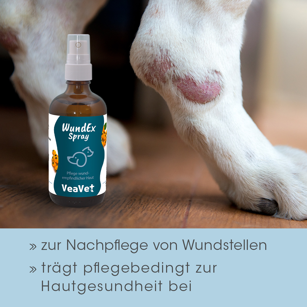 Flasche