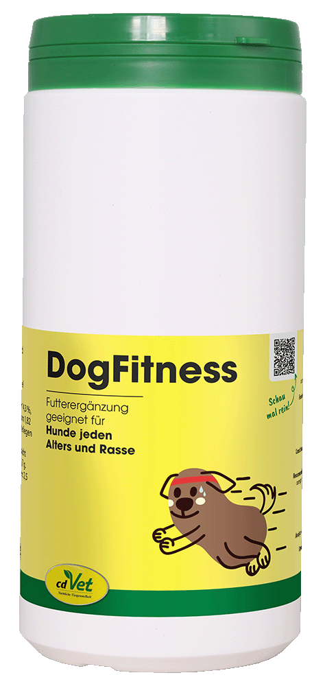 Tiernahrung, Hundeernährung, Futterergänzung, Gelb, Grün