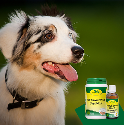 Organic Fur & Skin Vital Oil 100 ml