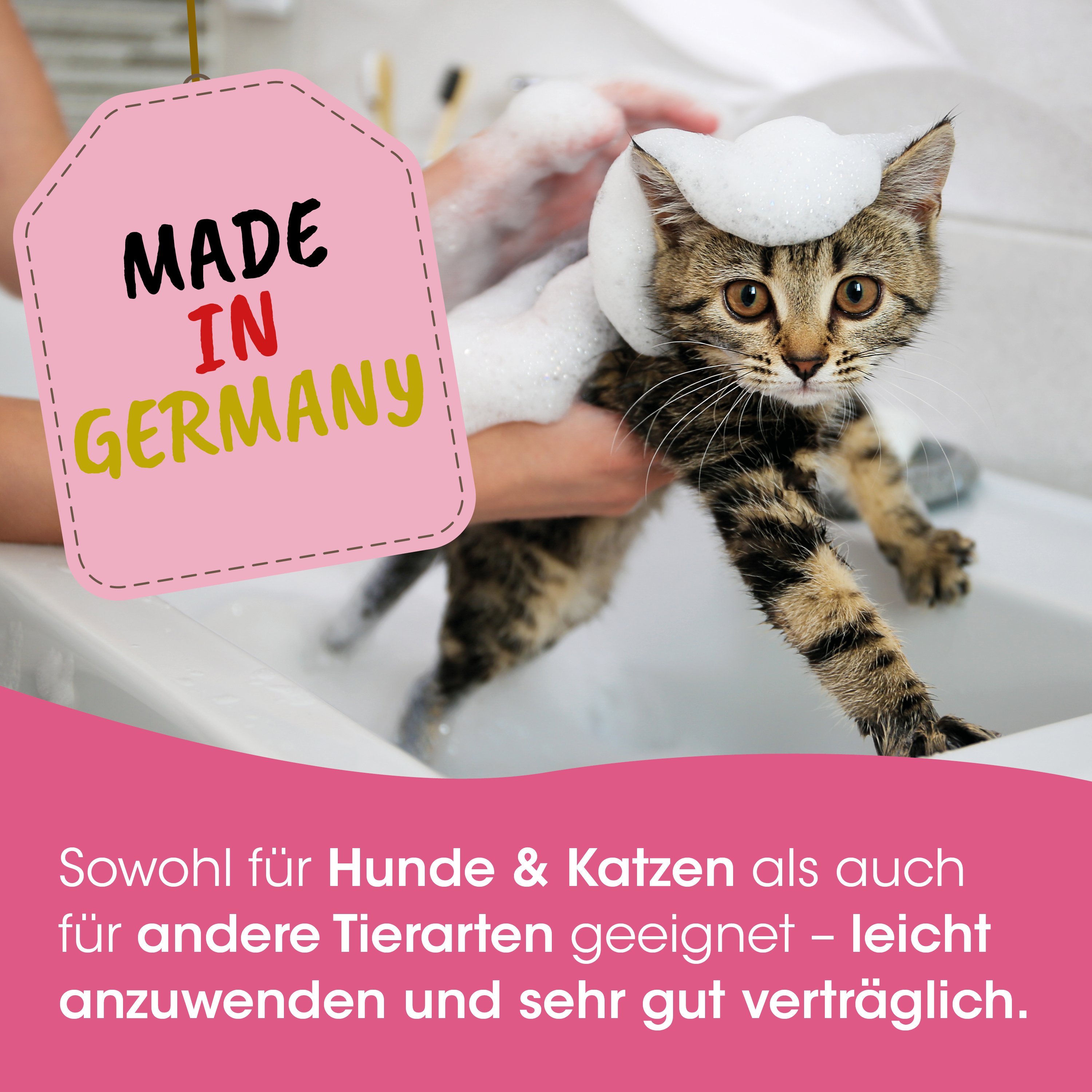 Katzenbad, Waschbarsch, Katze, Schaumbad, Tierpflege