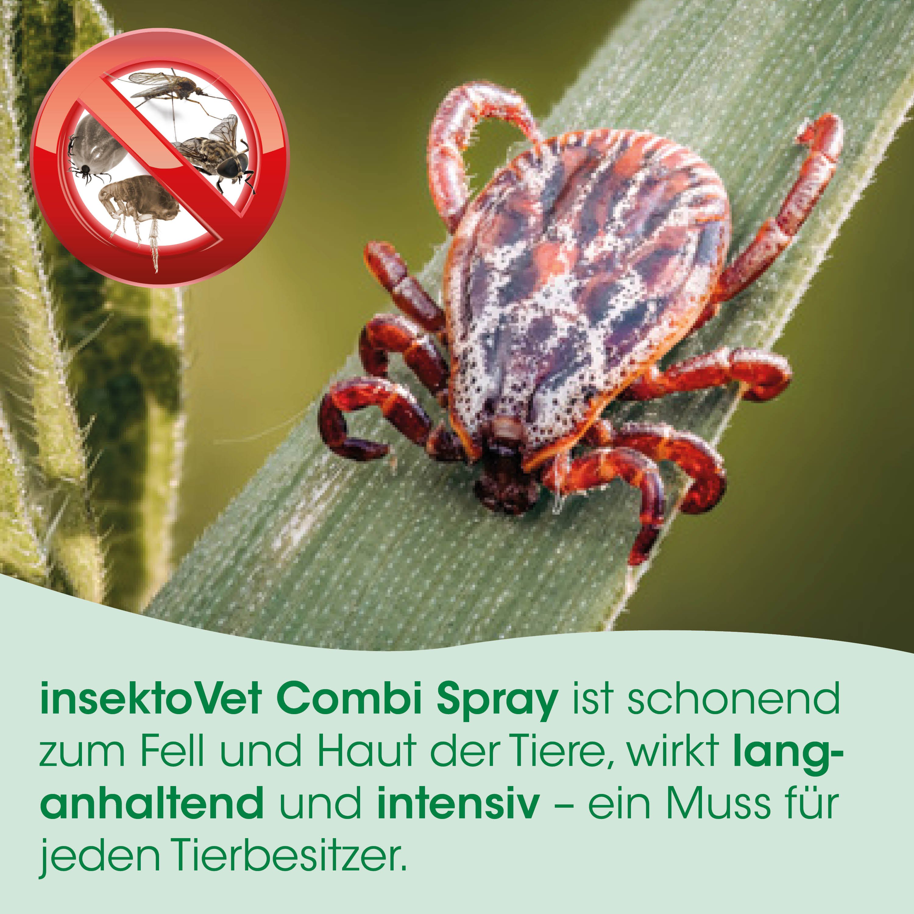 Insektenschutz, Spray, Kreuzotter?