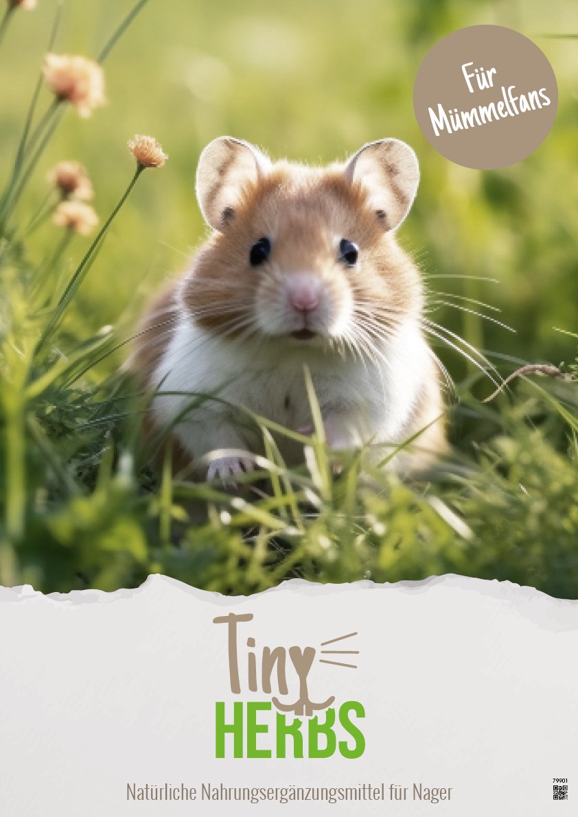 Plakat TinyHerbs A3
