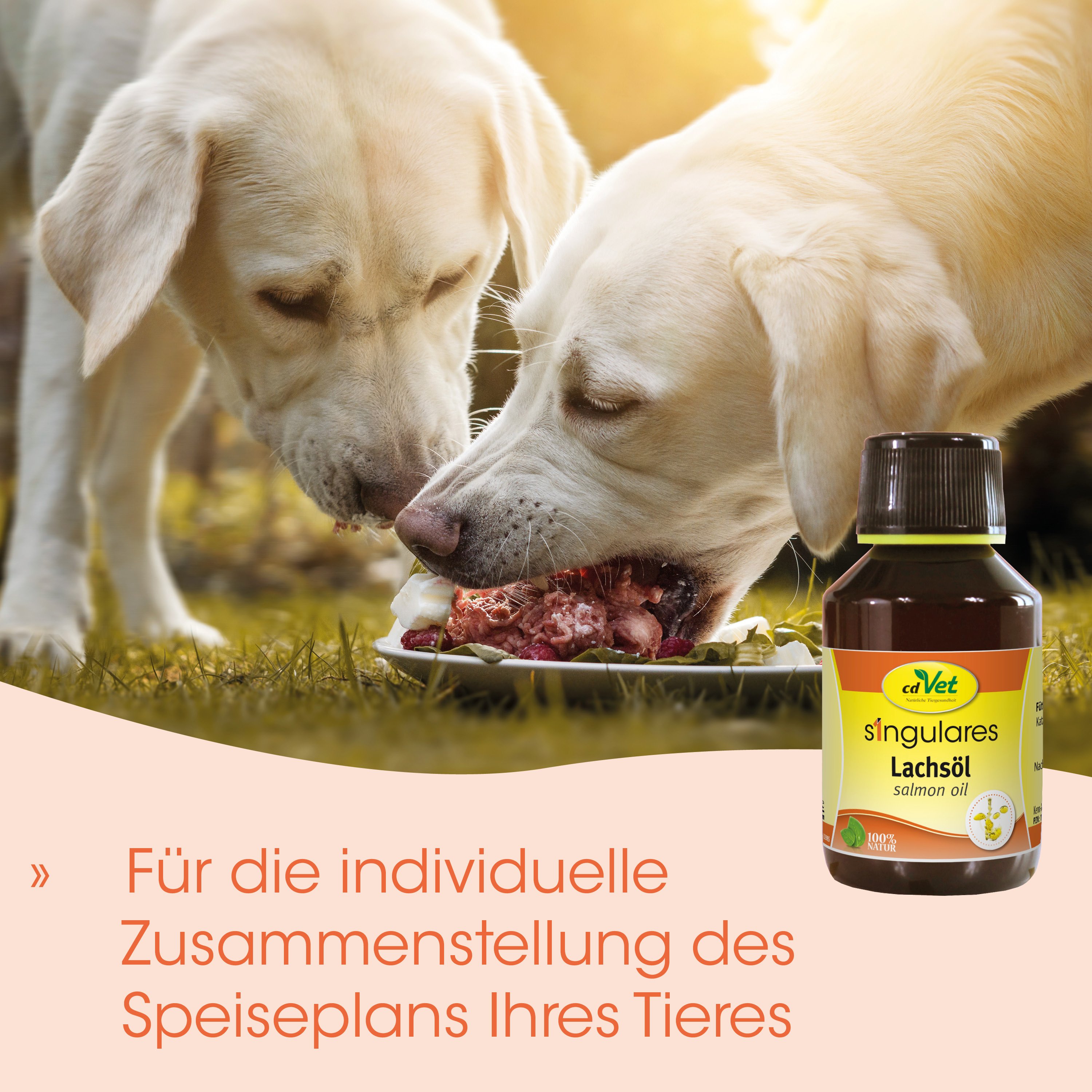 Hund, Hunde-Futter, Lachsöl, tierisches Ergänzungsmittel, Fleischplatte