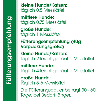 Seite, Text