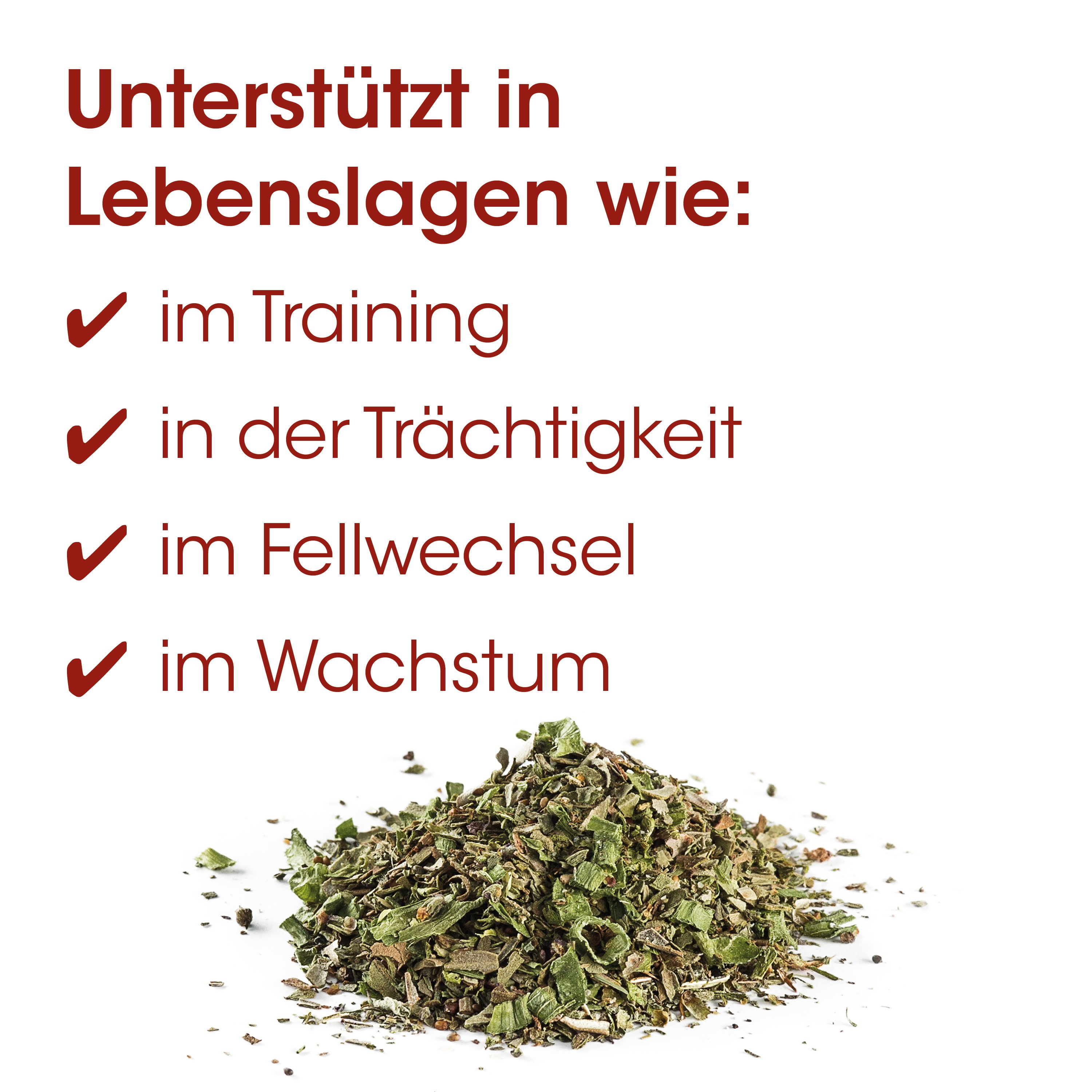 Kräuter, getrocknet, Grün, Pflanzenmaterial, Kleingröße