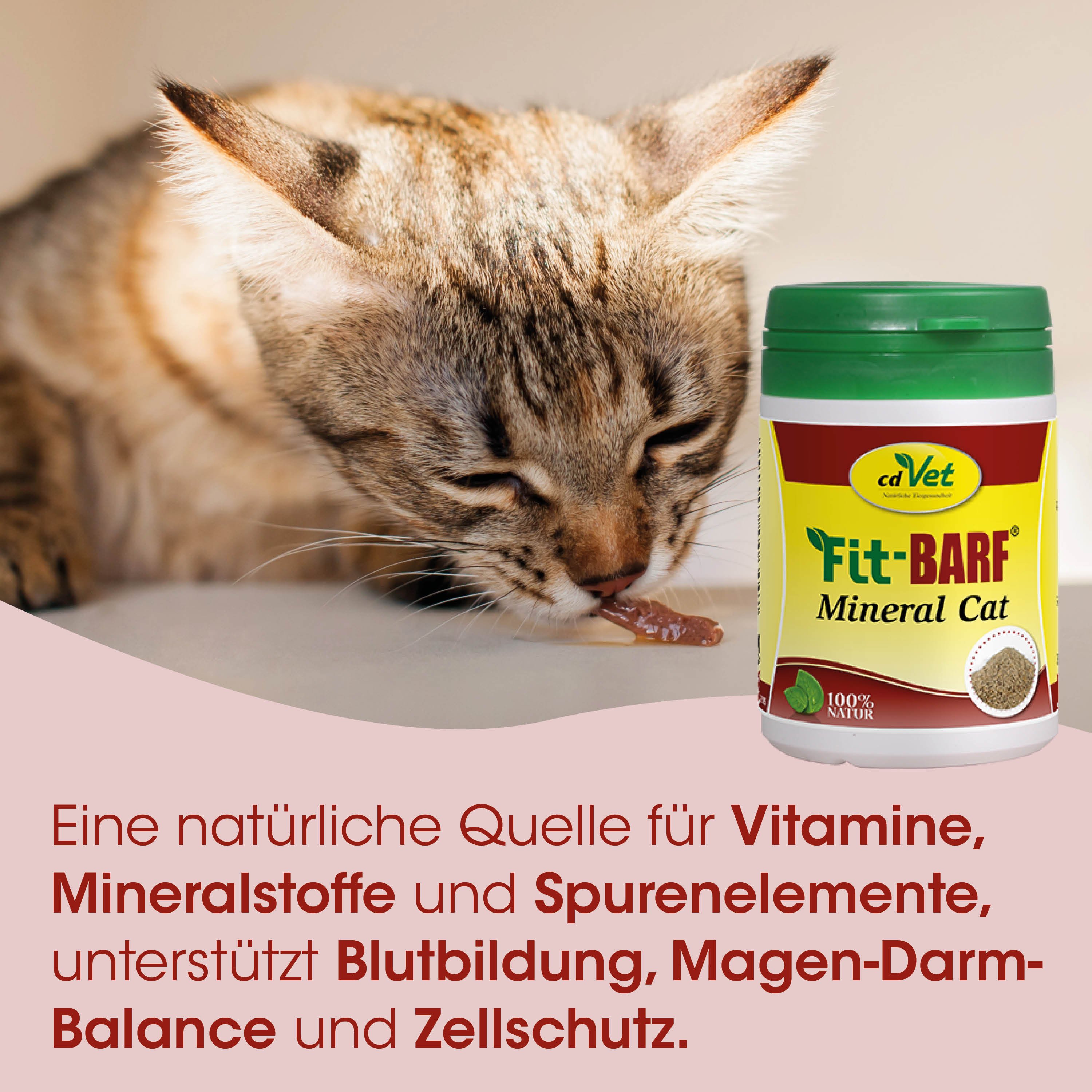katzennahrung, futterdose, katze, mineralfutter, vitamine