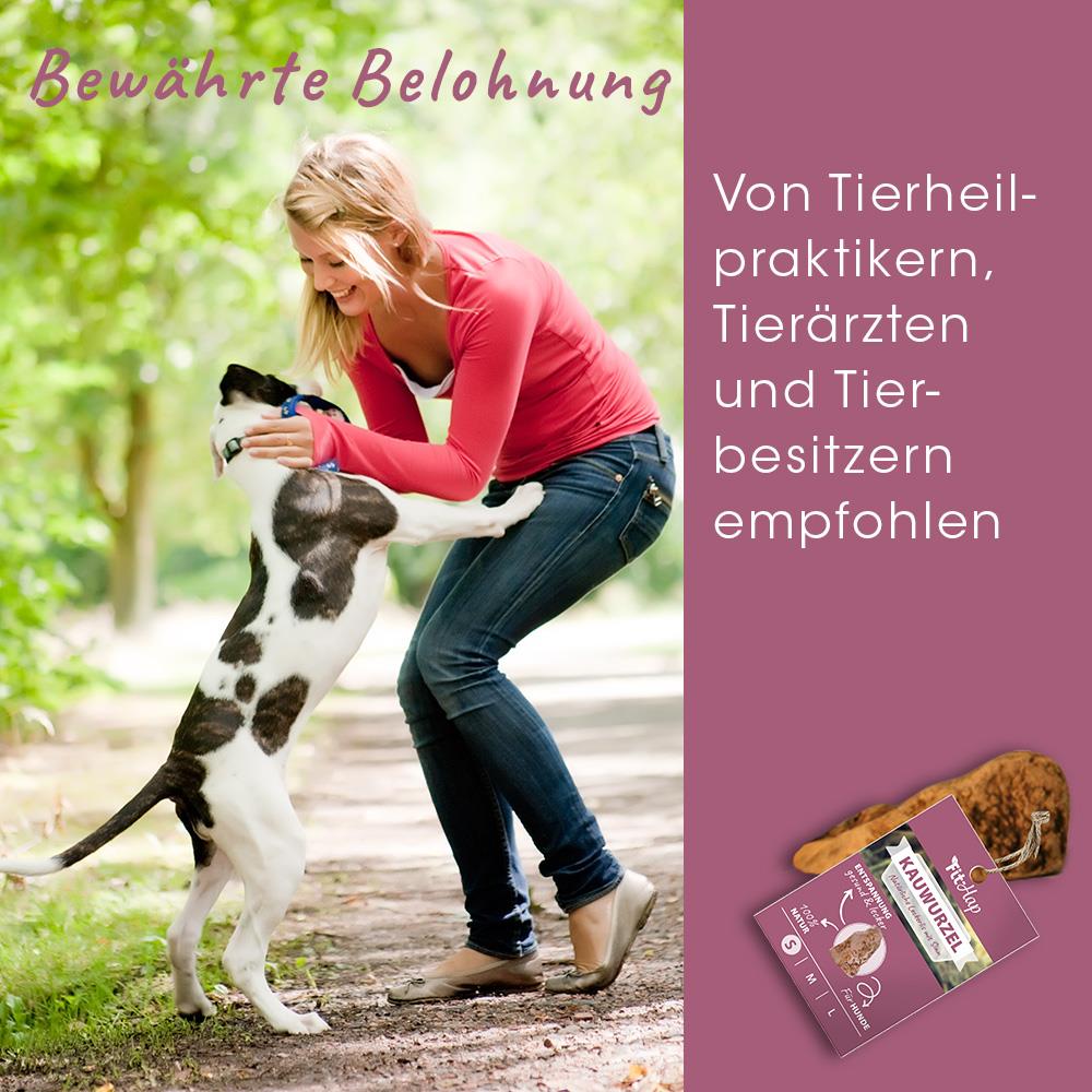 Hund, Hundespielzeug, Leine, Draußen, Collar