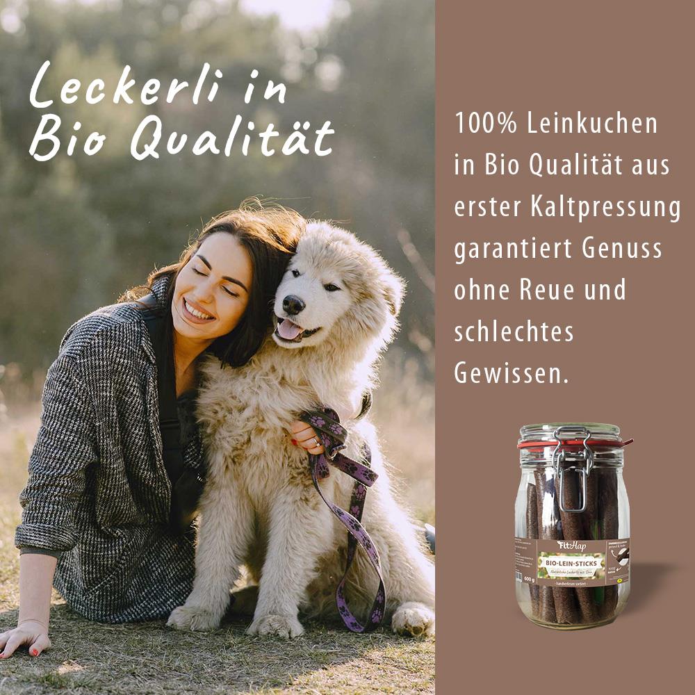 Hund, Halsband, Leine, Glas, Stäbchen