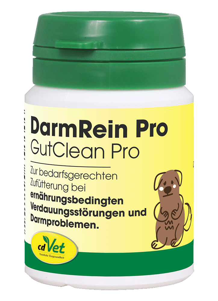 Kräuterig, Kräuter, Pflanze