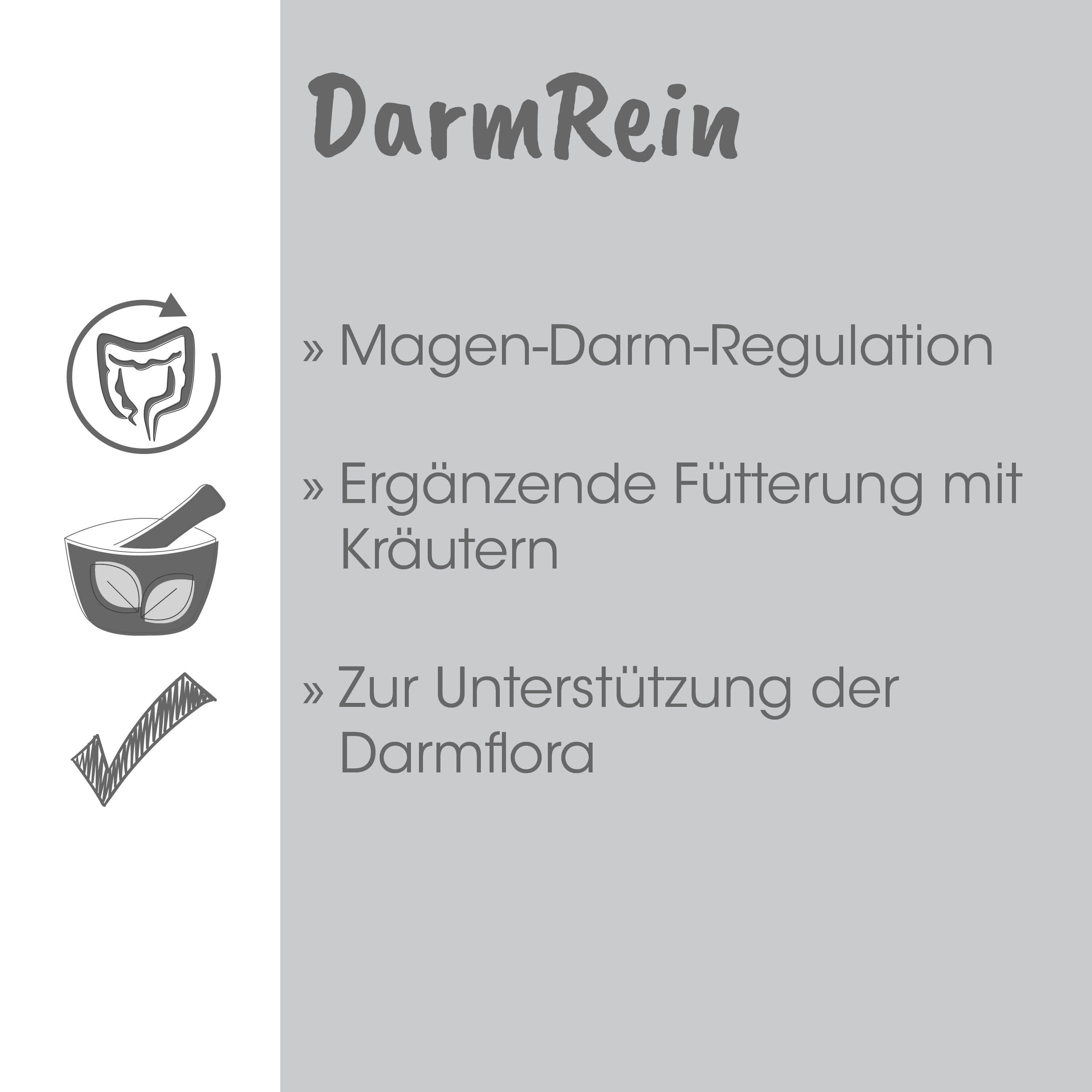Magen-Darm, Nahrungsergänzung, Kräuter, Darmflora, Futtermittel