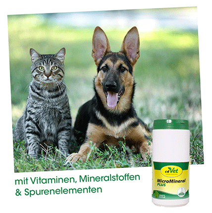 MicroMineral plus Chien & Chat 1 kg
