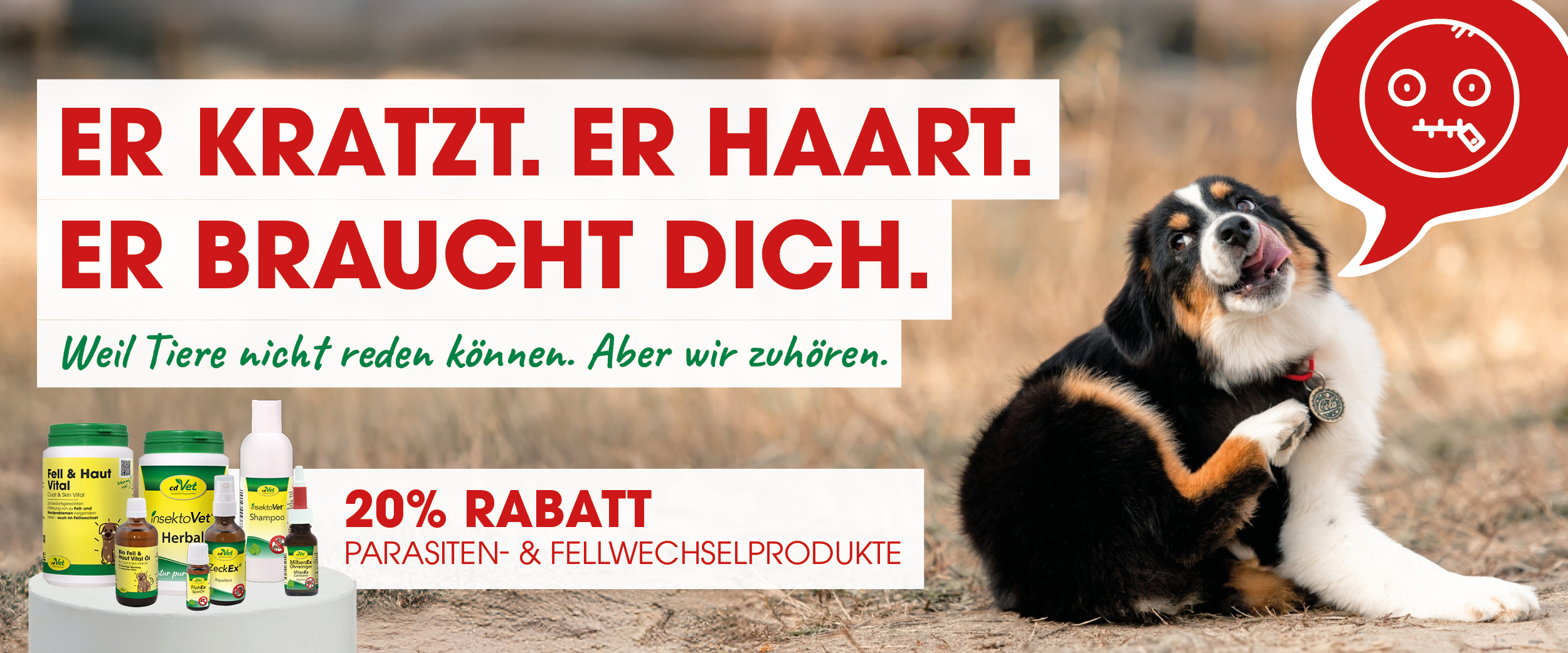 Hund, Säugetier, Haustier, Welpe, Hund, Säugetier, Haustier, Welpe