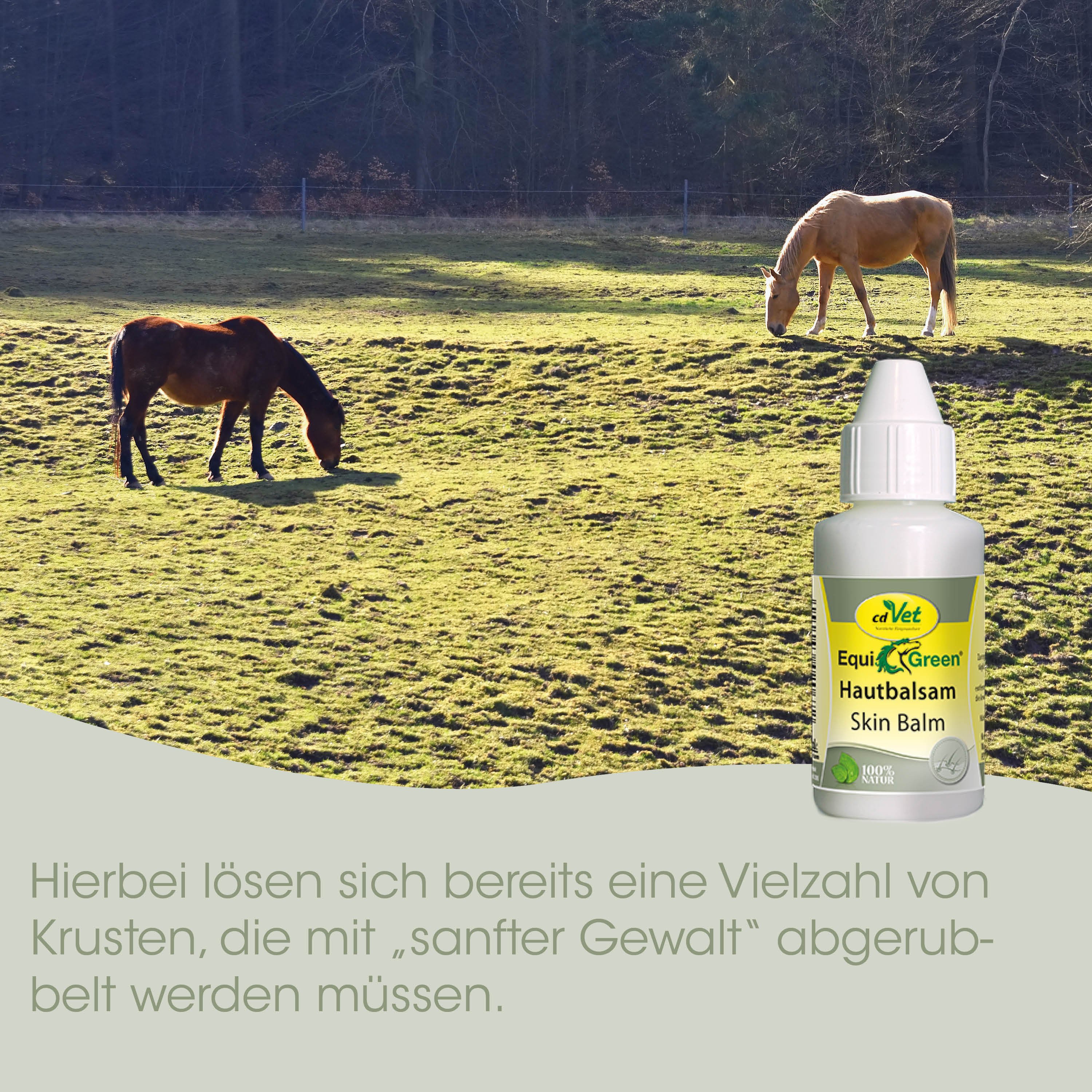 Krautfutter, Pferd, Pferdewiese, Weide, Hautbalsam