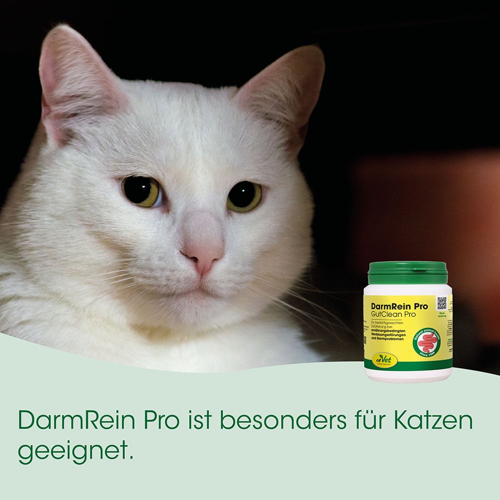 Katze, Tierarztprodukt, Darmrein Pro, Kotpflege, Kotfutter-Behandlung