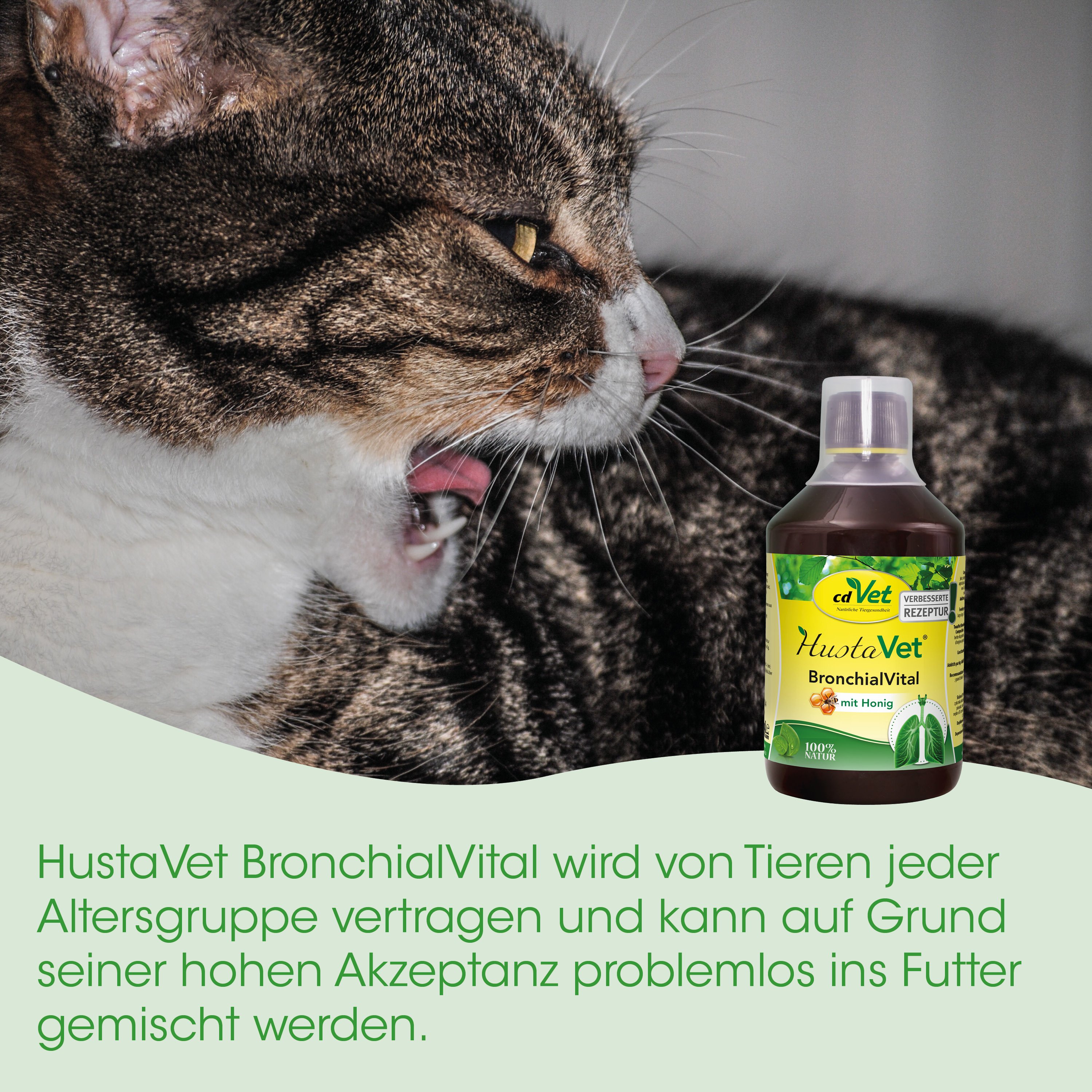 Katze, Tierarztfutter, Bronchial, Vital, Sirup