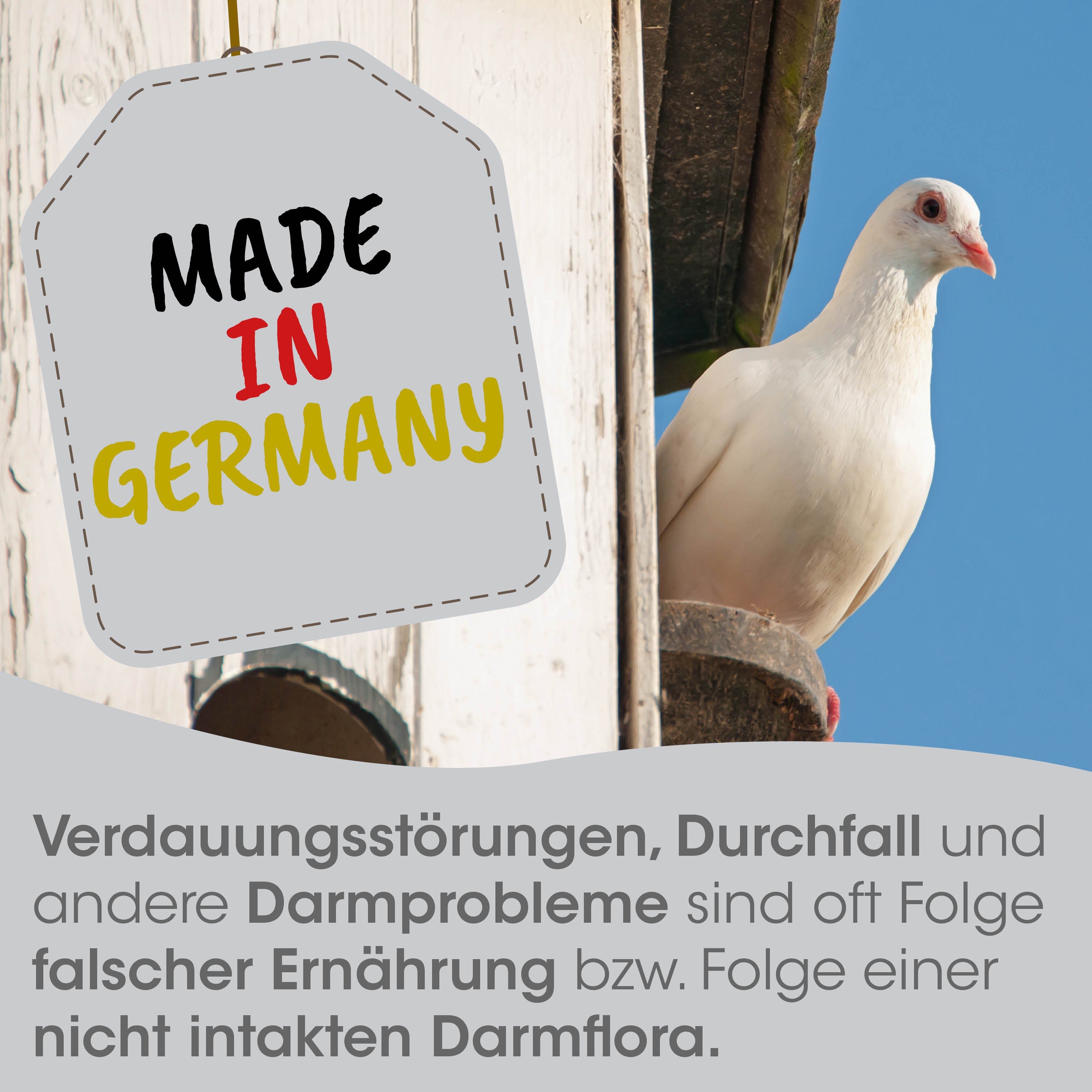 dove, weißer vogel, taube, auf einem mast, Germany-Label