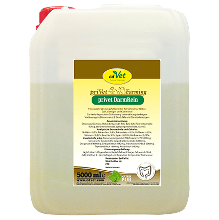 privet DarmRein 5 L -Sorbe-