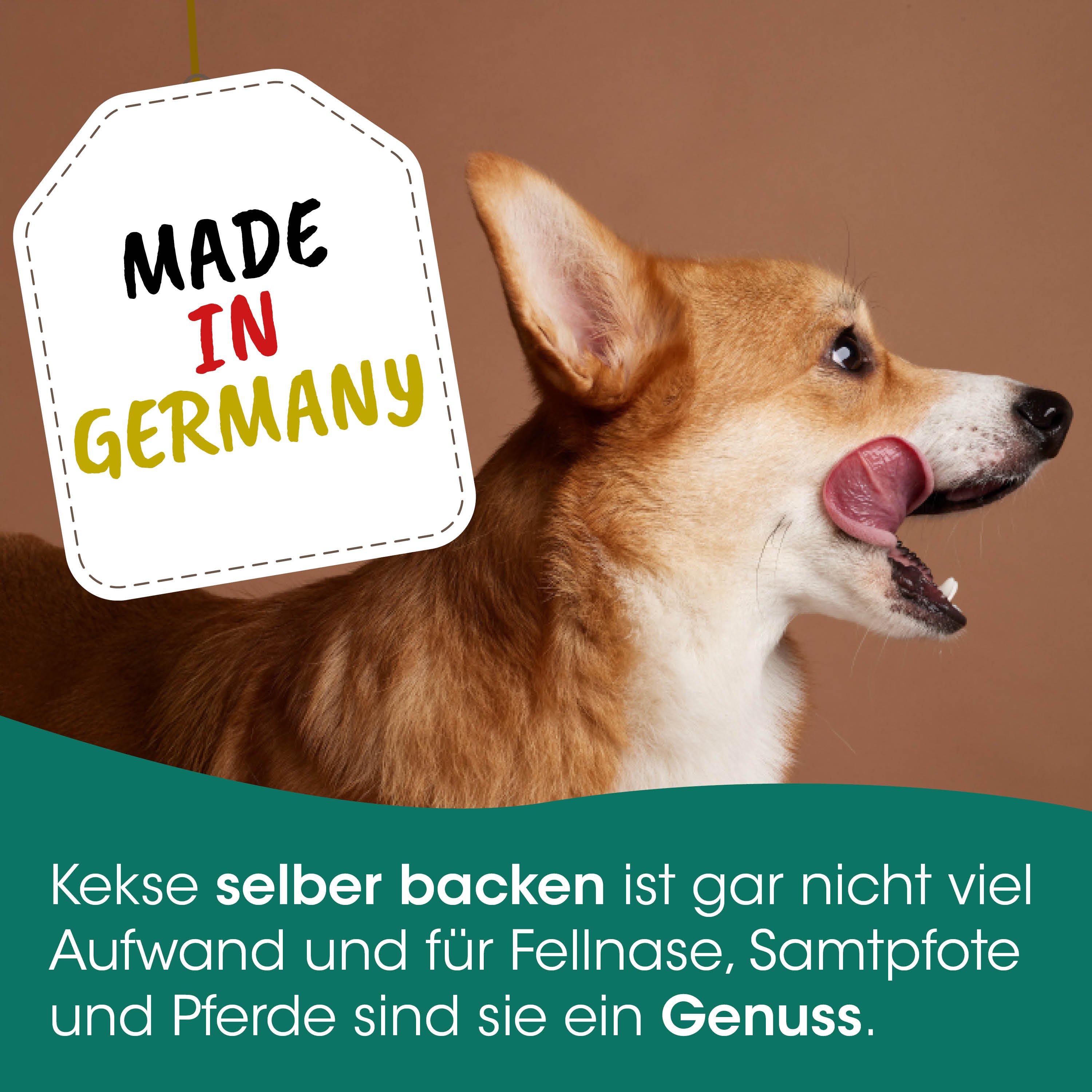 Hund, Corgi-Mischling, Lippe pink, Tierisches Motiv, Promo-Aufkleber