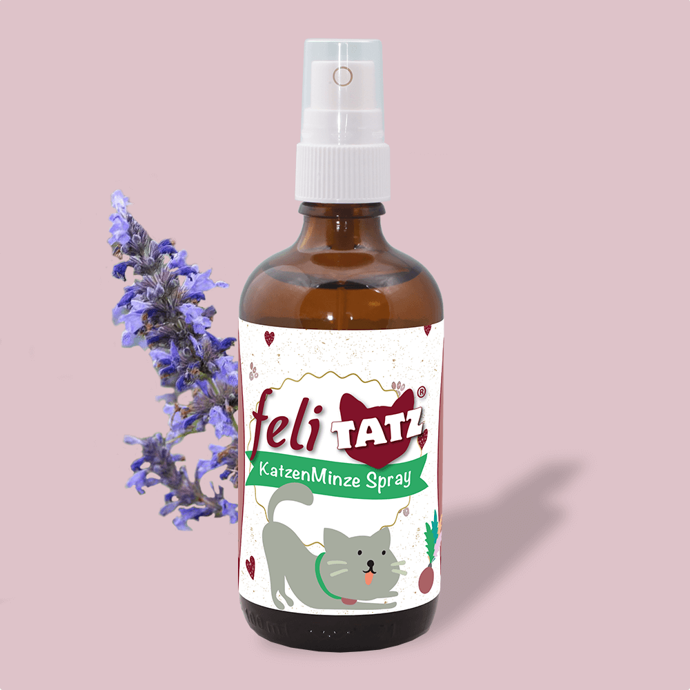 feliTATZ Catnip Spray 50 ml