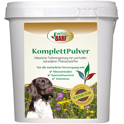 Kräuterig, Pflanze, Postfach, Hund, Haustier