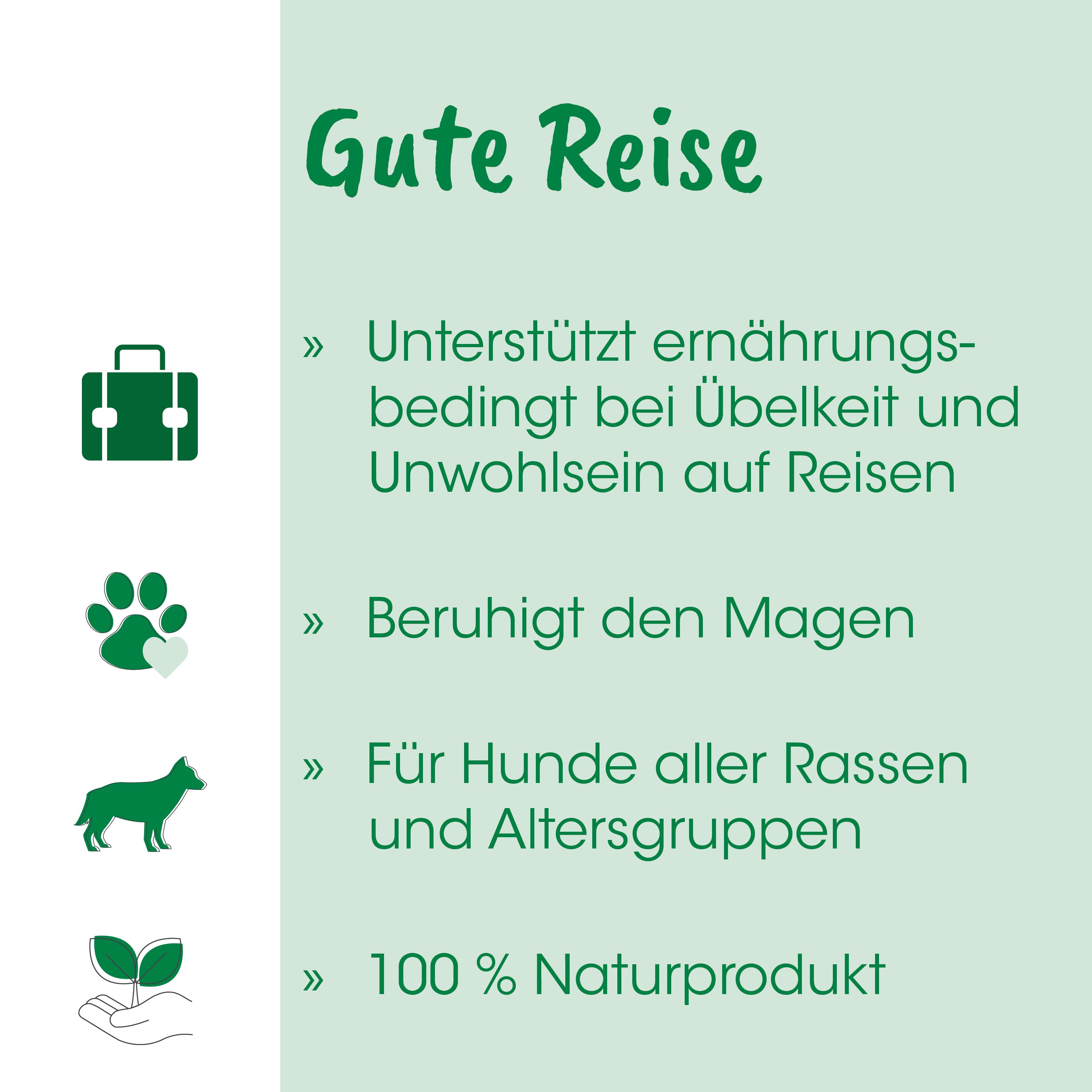 Aktentasche, Geldbörse Symbol, Hund, Blatt, Naturprodukt