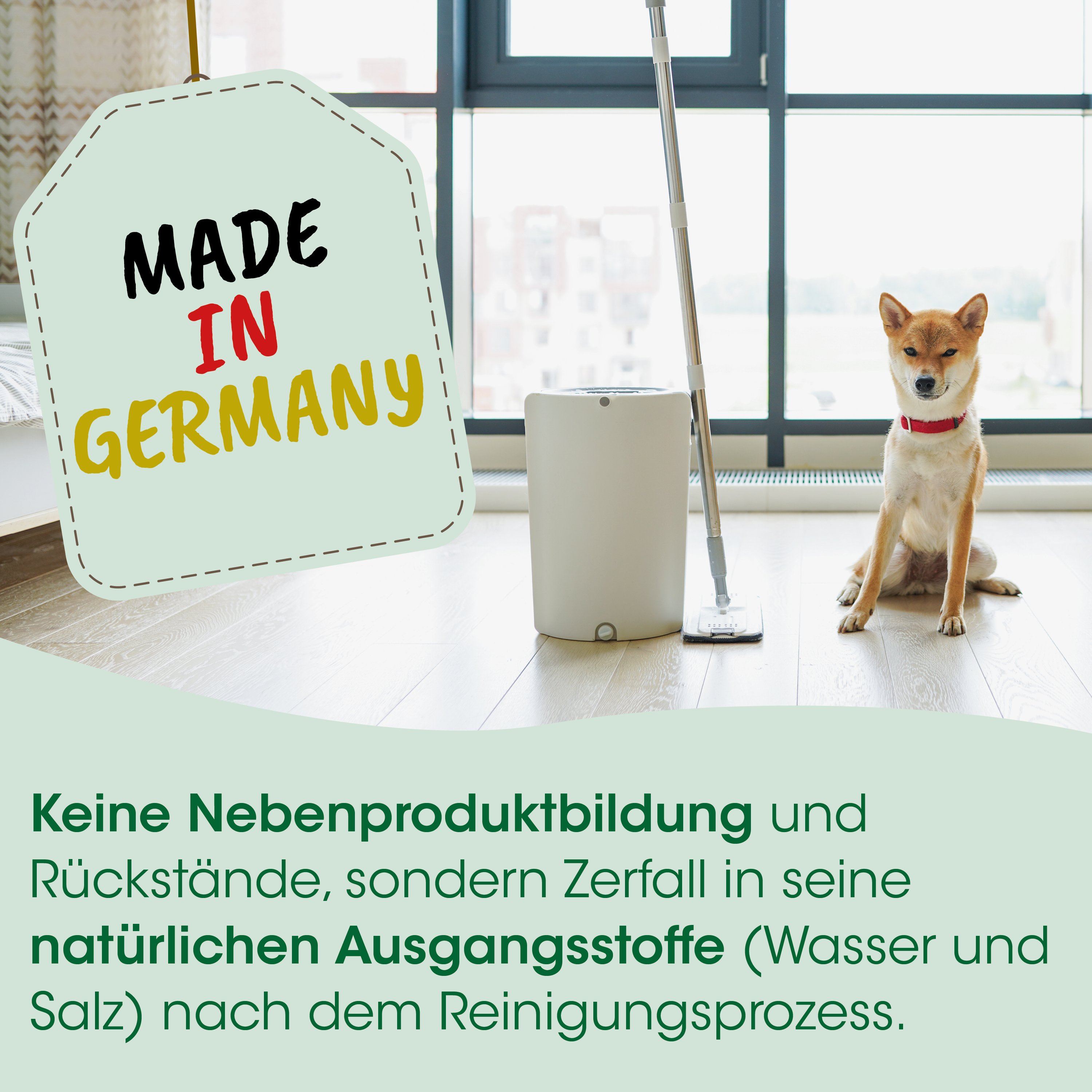 Hund, Haustier, Rotes Halsband, innen, Staubsauger