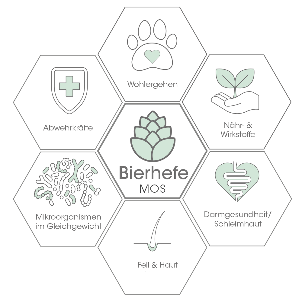 Bierhefe, MOS, Hefe, Mikroorganismen, Darmgesundheit